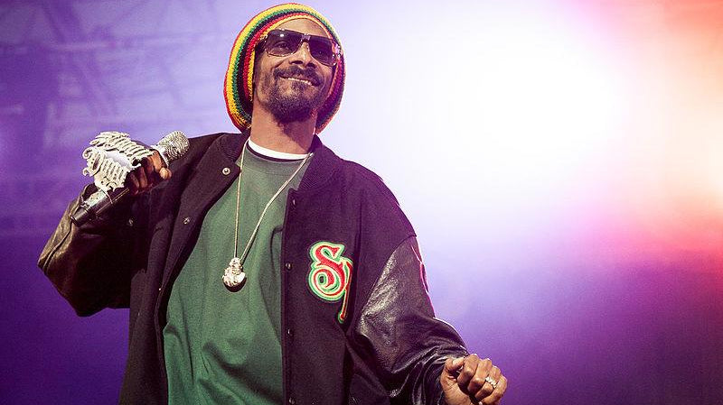 Net Worth Of Snoop Dogg - HipHopBling