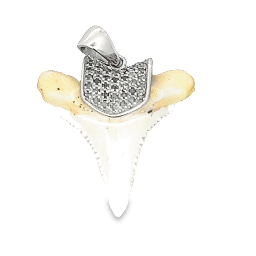 Real Shark Tooth Diamond Pendant .25cttw .925 Sterling Silver White Gold HipHopBling