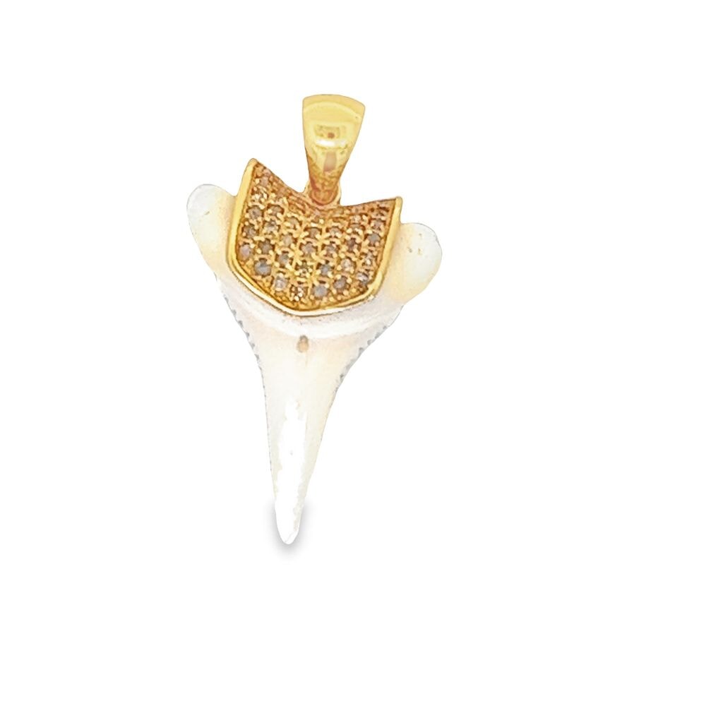 Real Shark Tooth Diamond Pendant .25cttw .925 Sterling Silver Yellow Gold HipHopBling