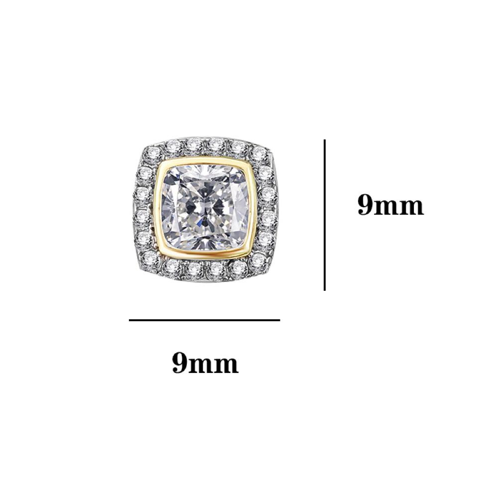 Princess Pave Border CZ Iced Out Earrings .925 Silver White Gold HipHopBling