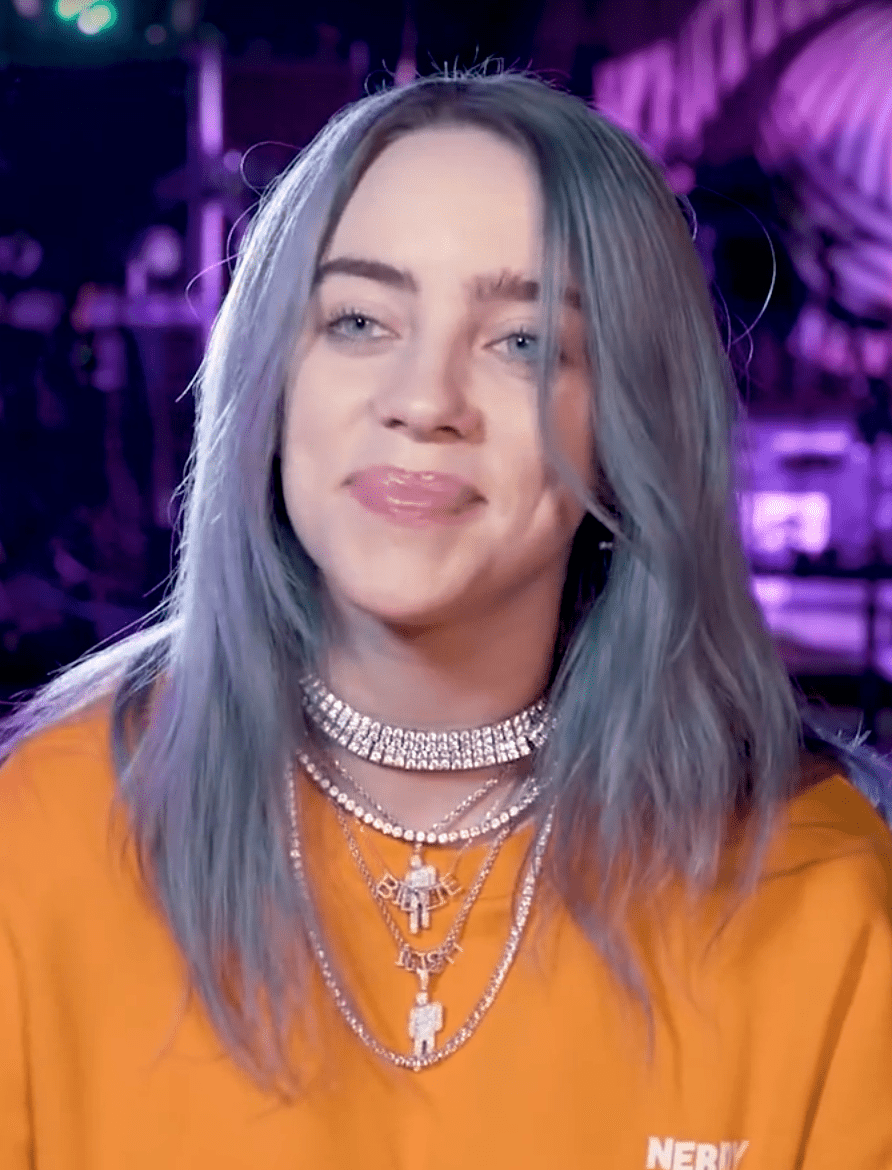Billie Eilish Sweeps 2020 Grammys In All Major Categories - HipHopBling