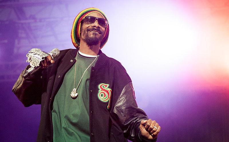 Net Worth Of Snoop Dogg - HipHopBling