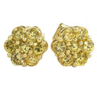 Big Cluster Lemonade CZ Bling Bling Earrings HipHopBling