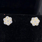 Cluster CZ 10K Yellow Gold Bling Bling Earrings HipHopBling